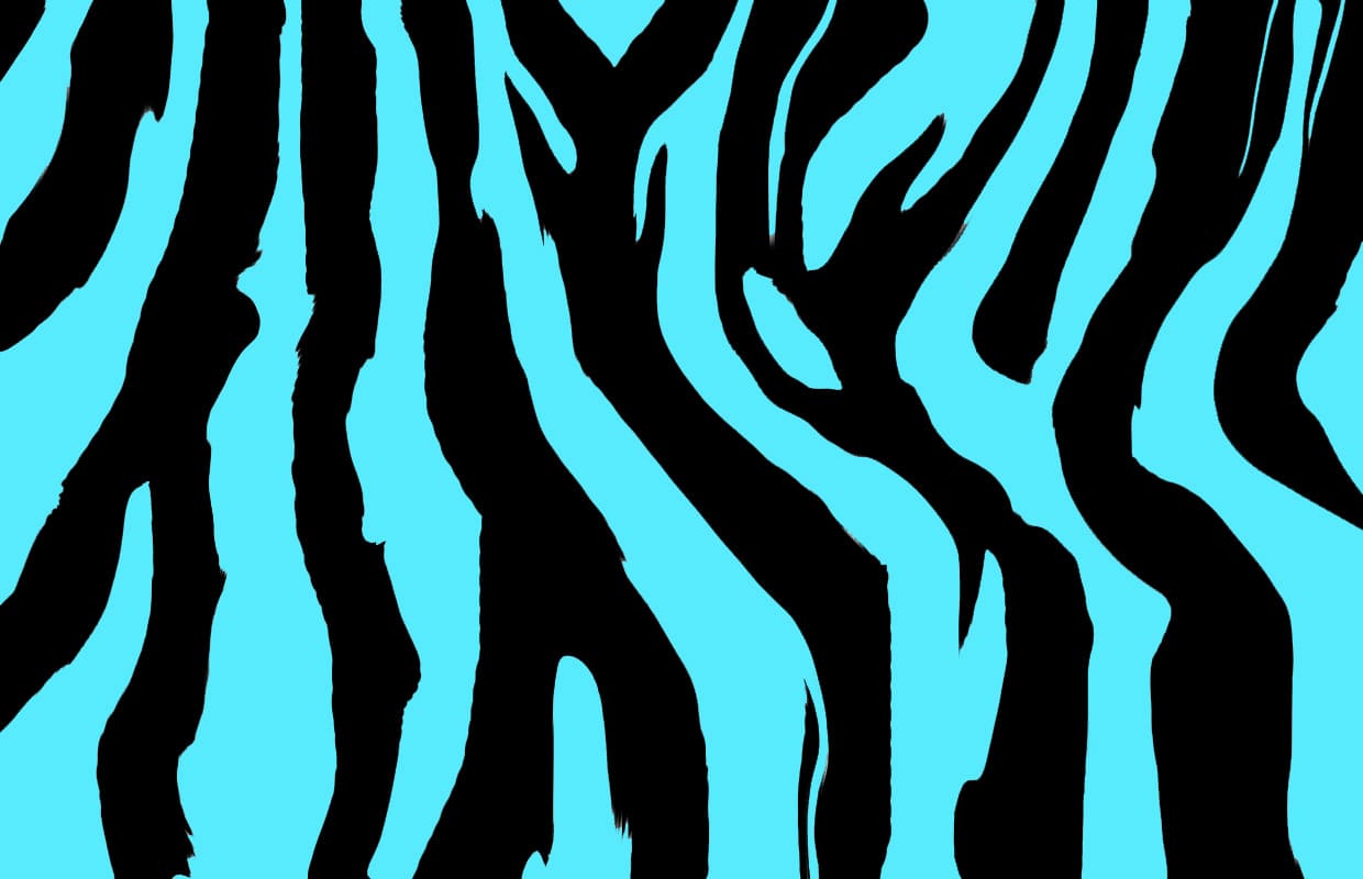 Baby Blue Zebra