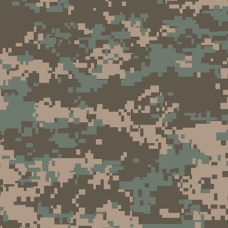 Camouflage Pixels