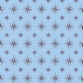Nautical Compass on Light Blue