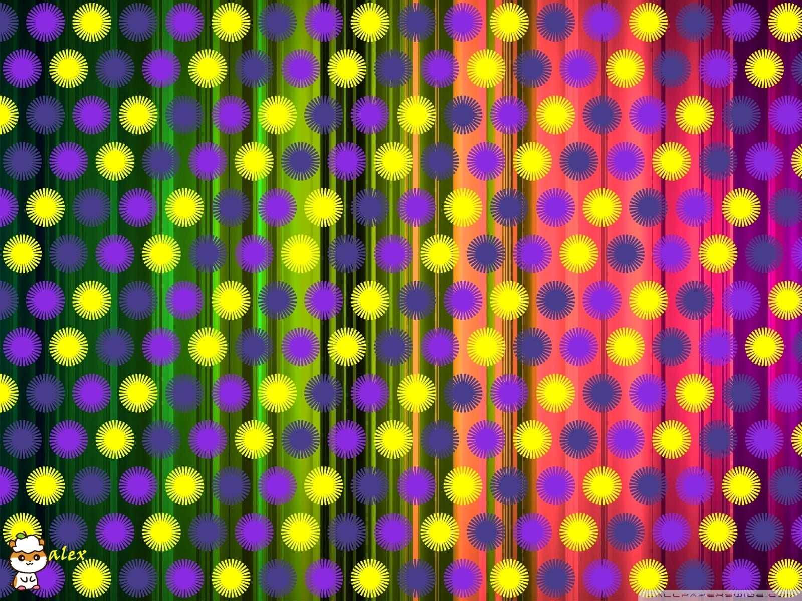 Starbursts