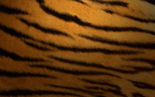 Tiger Stripes