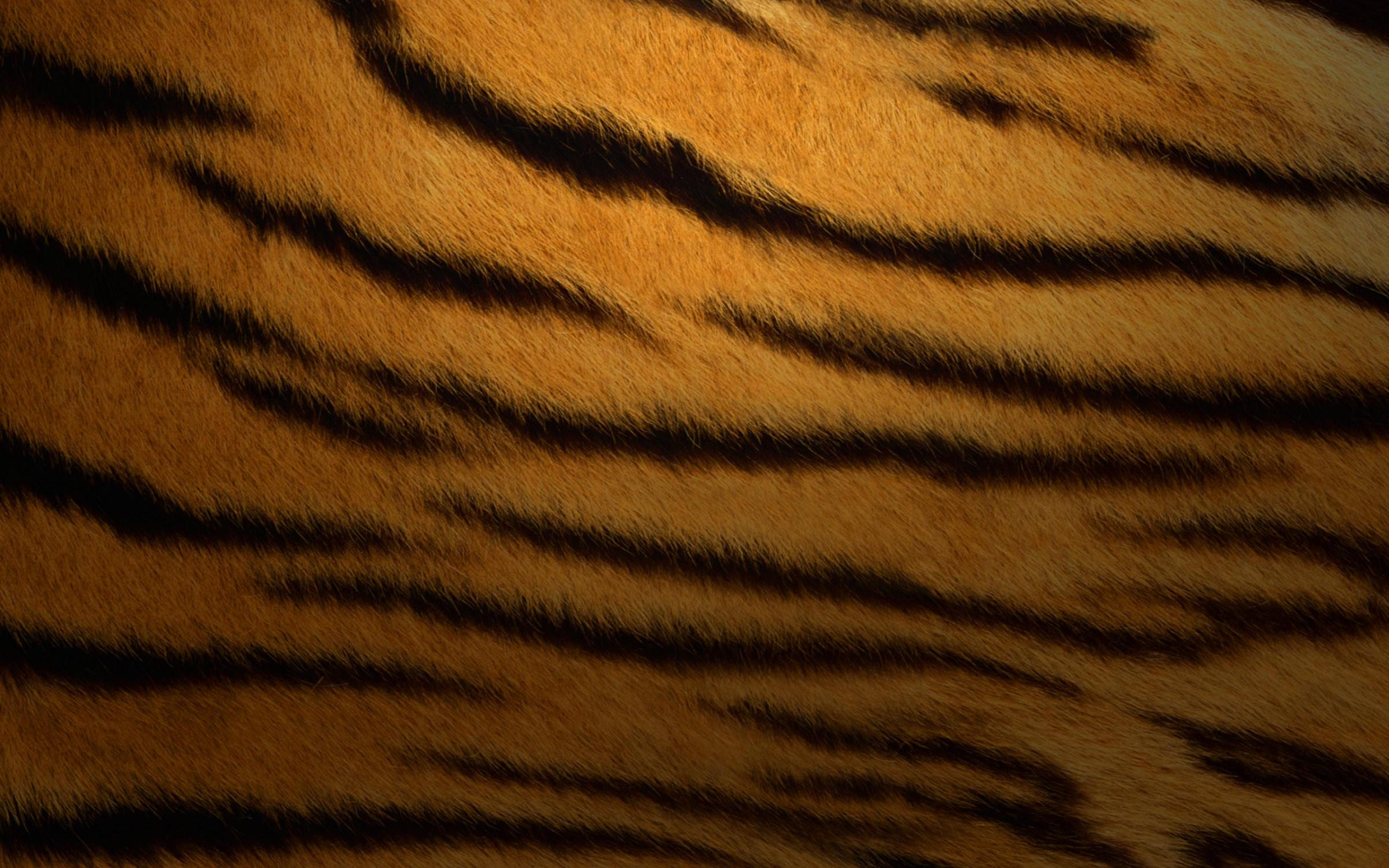 Tiger Stripes