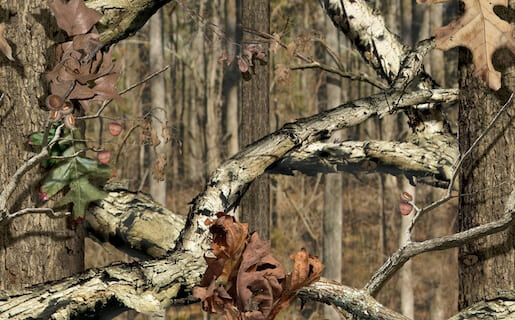 Wilderness Camouflage