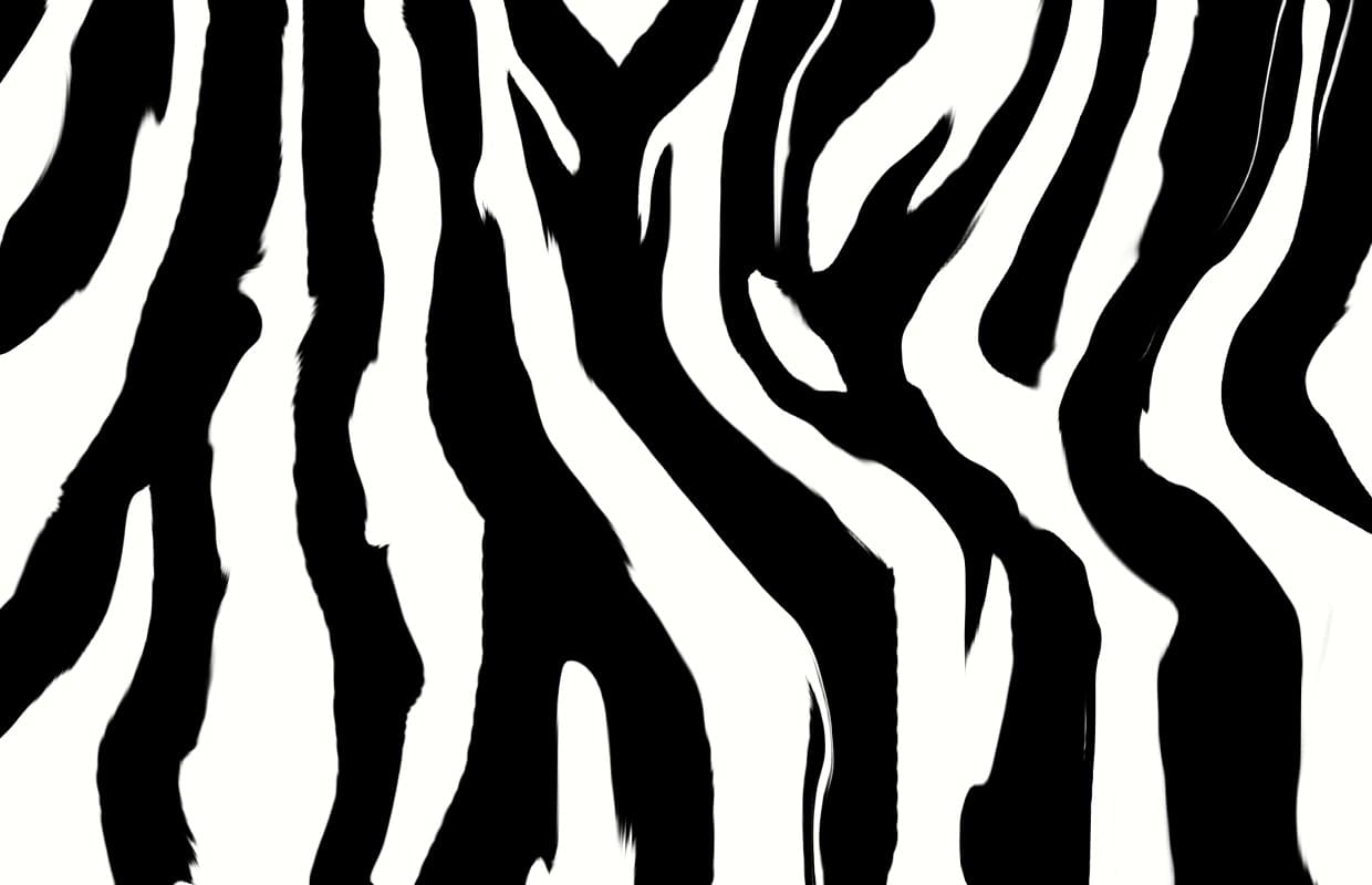 Zebra Stripes