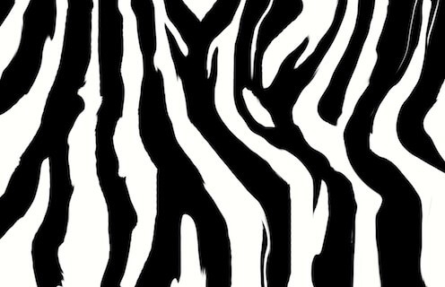 Zebra Stripes