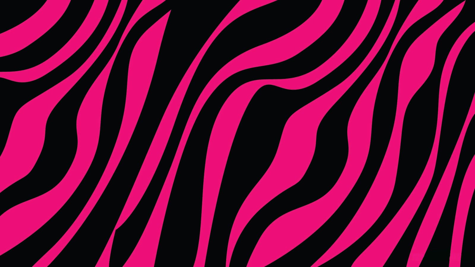 Pink Zebra